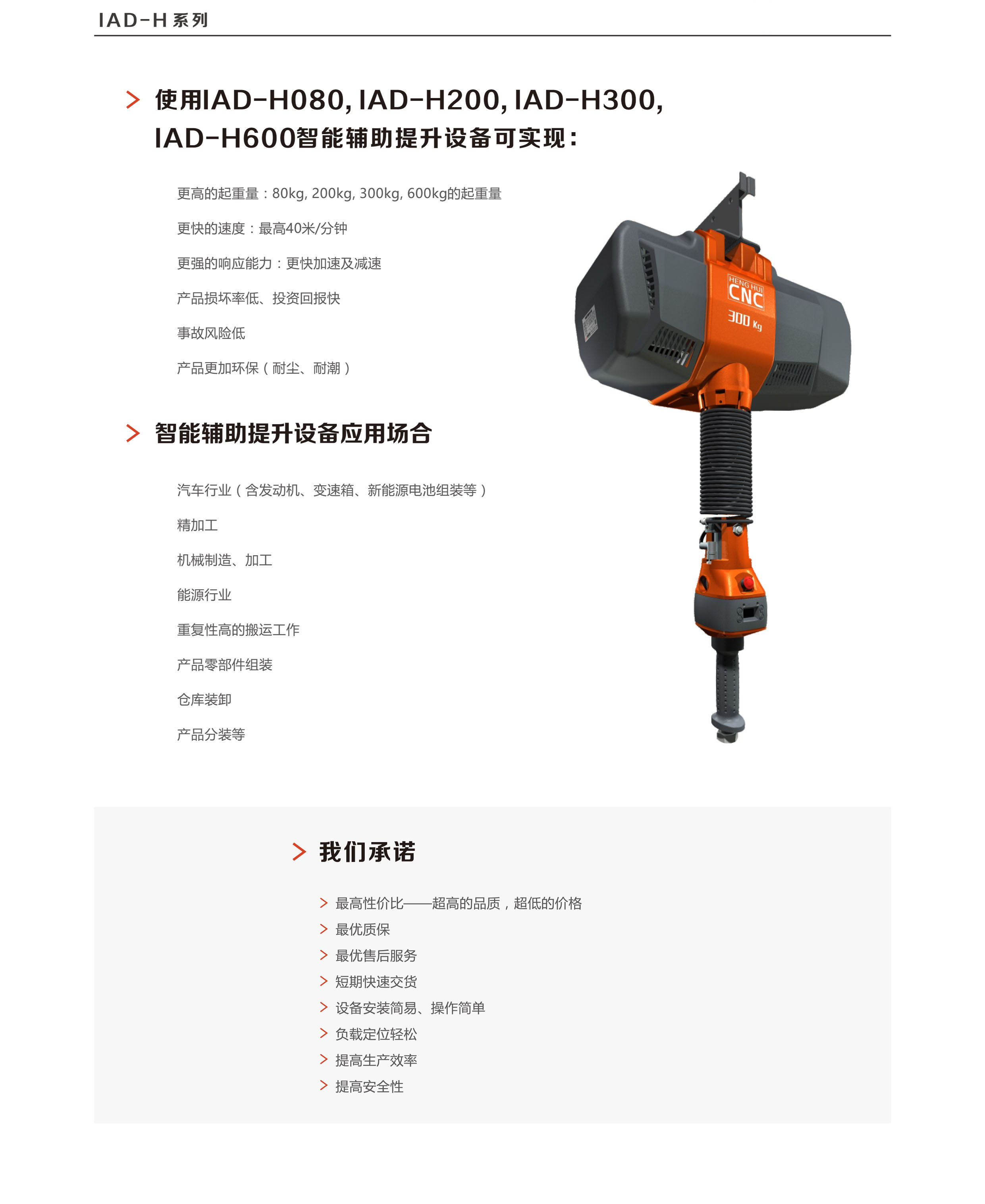 ENDO,智能,提升机,系列,标准型,ENDO,智能